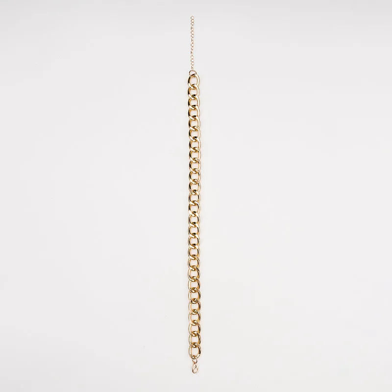 Gold metal pet necklace with extension chain on a cat or dog