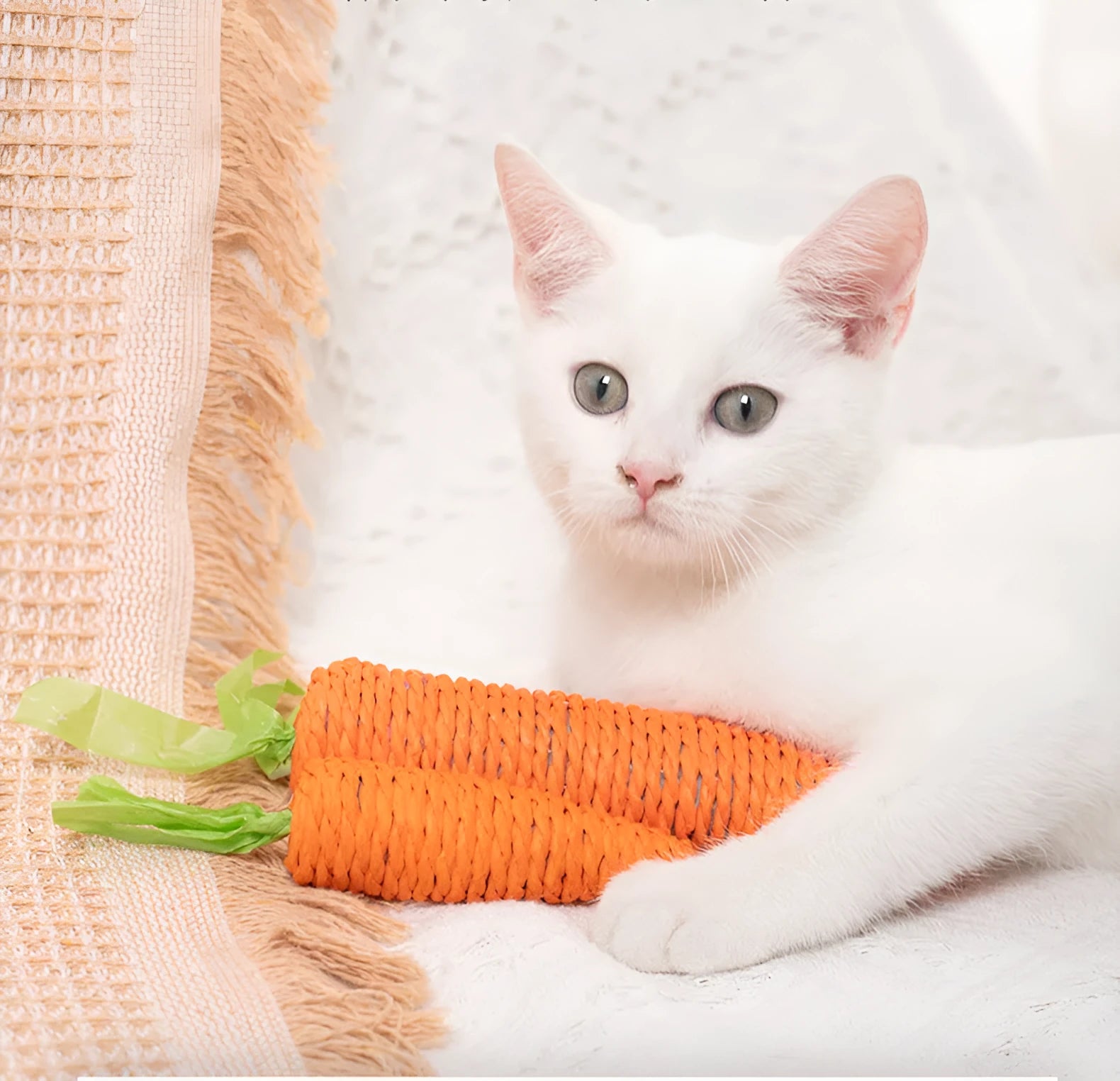 Cat toys collection showing carrot paper toys with ringing stones and tooth grinding sticks in L and S sizes