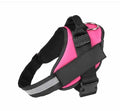 Adjustable dog harness with mesh padded vest in assorted colours, showing reflective strips and D-ring leash attachment.