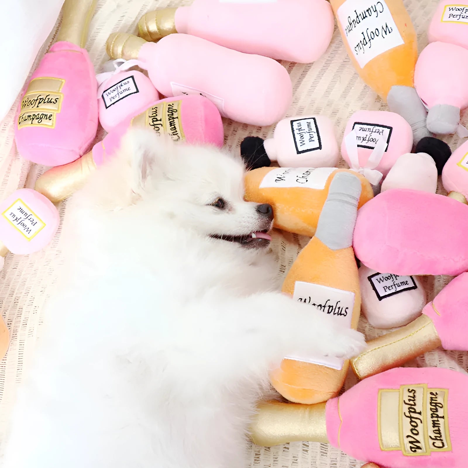 Creative plush wine bottle pet toy for cats and small dogs in various colours