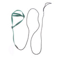 Nylon parrot hand holding rope in black, green, sapphire blue, and red on a training lead