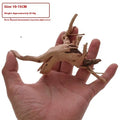 Natural Xiaoqi root wood aquarium decoration for fish tank aquascaping