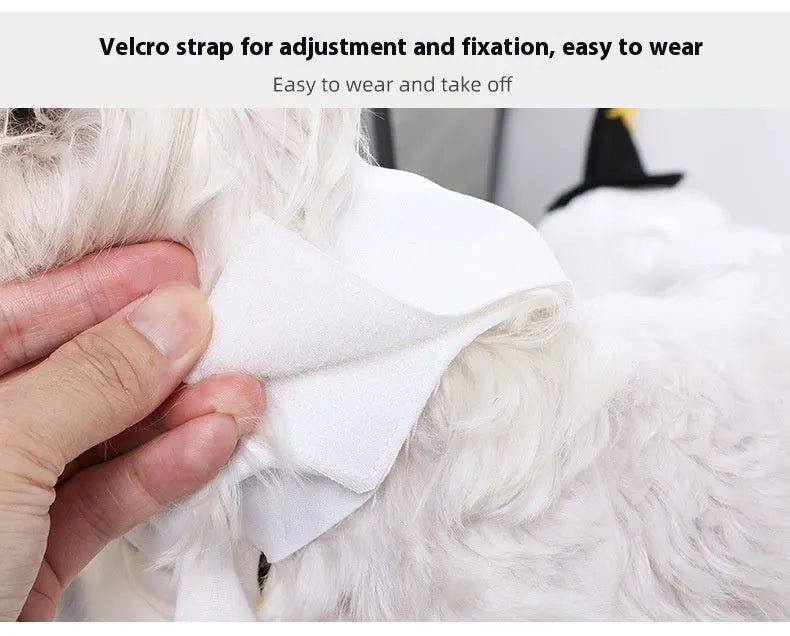 White pumpkin ghost costume for dog or cat on hanger