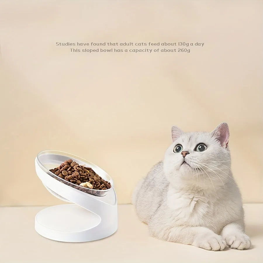 Clear elevated cat food bowl with ergonomic tilt design for neck protection