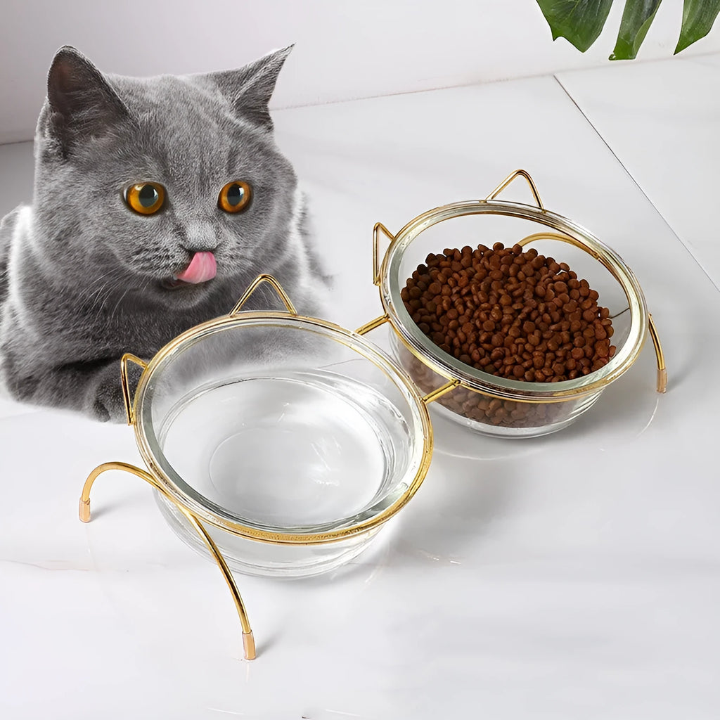 Glass cat bowl with iron rack, double and single options for cats and small dogs