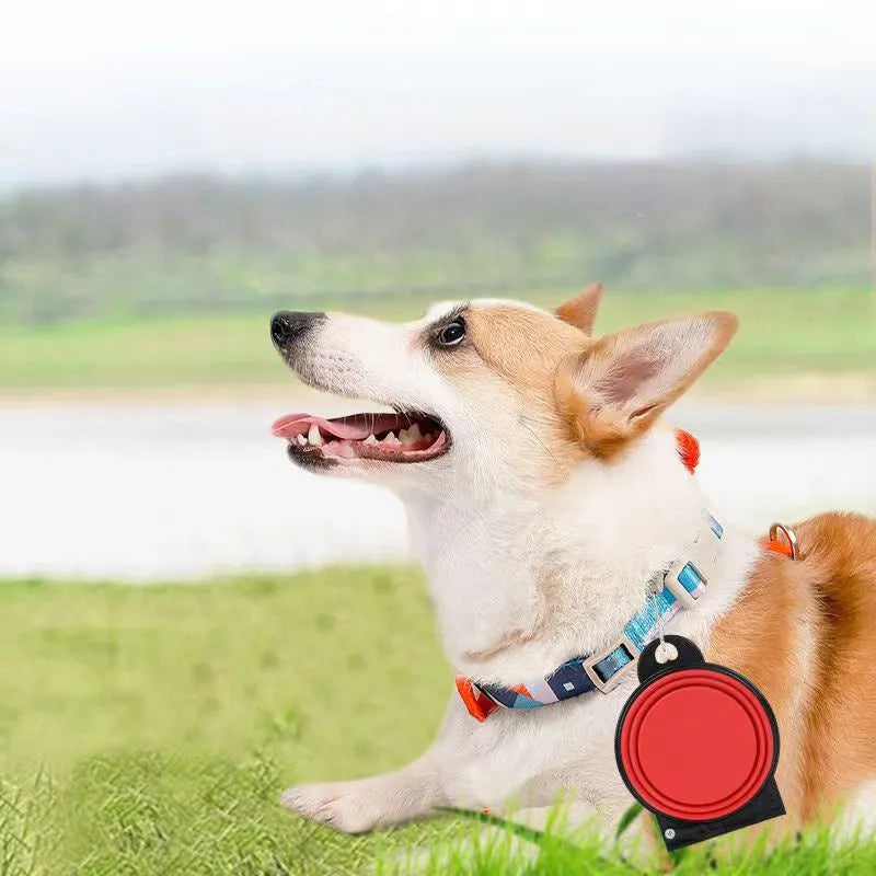 Blue silicone folding double pet bowl showing food and water compartments, folded flat beside it.