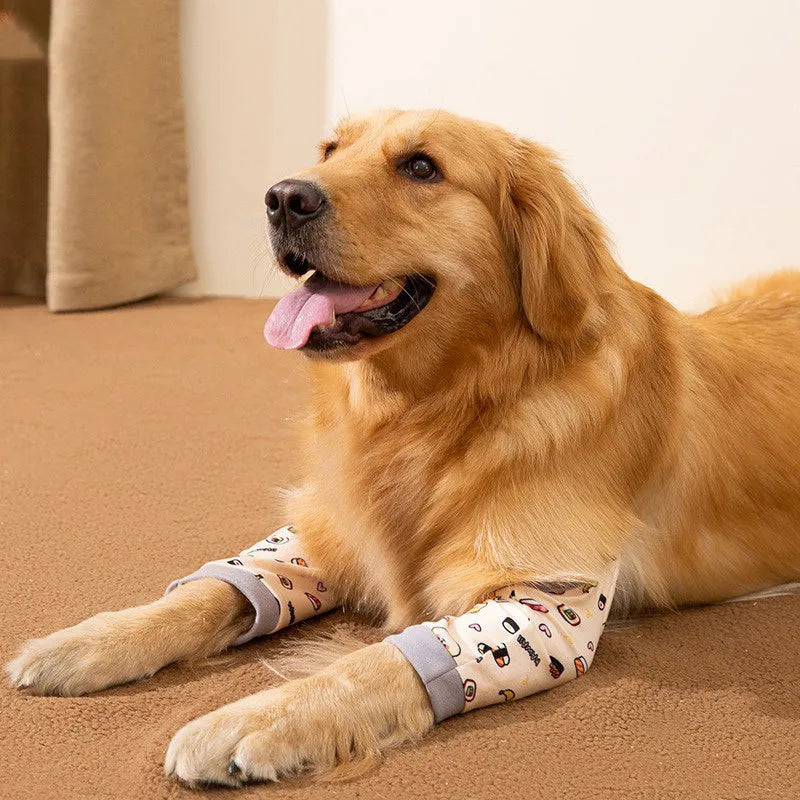 Adjustable dog knee protector pad with elbow support and matching scarf in blue, grey or yellow