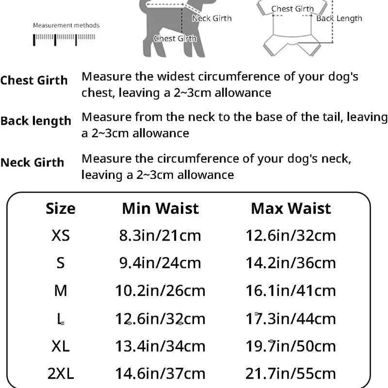Reusable washable dog physiological pants in blue with cartoon print on a white background