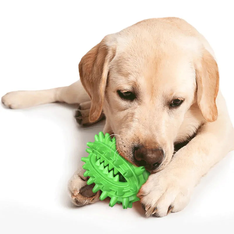 Green or yellow cactus-shaped rubber dog chew toy for dental care, shown with treat channel.