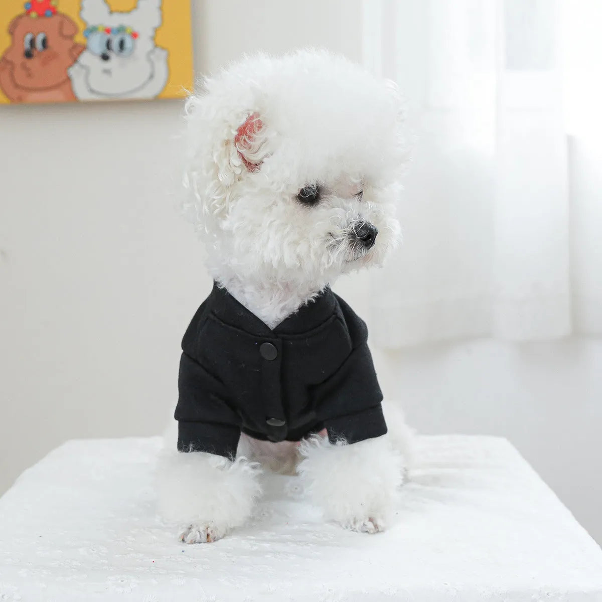 Pet jumper with kiss sweater pattern for dogs or cats in polyester fabric