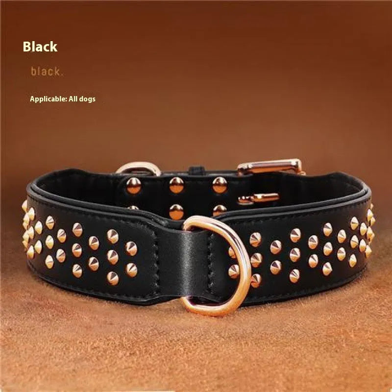 Leather dog collar with metal rivets in chocolate colour, shown with a D-ring and buckle.