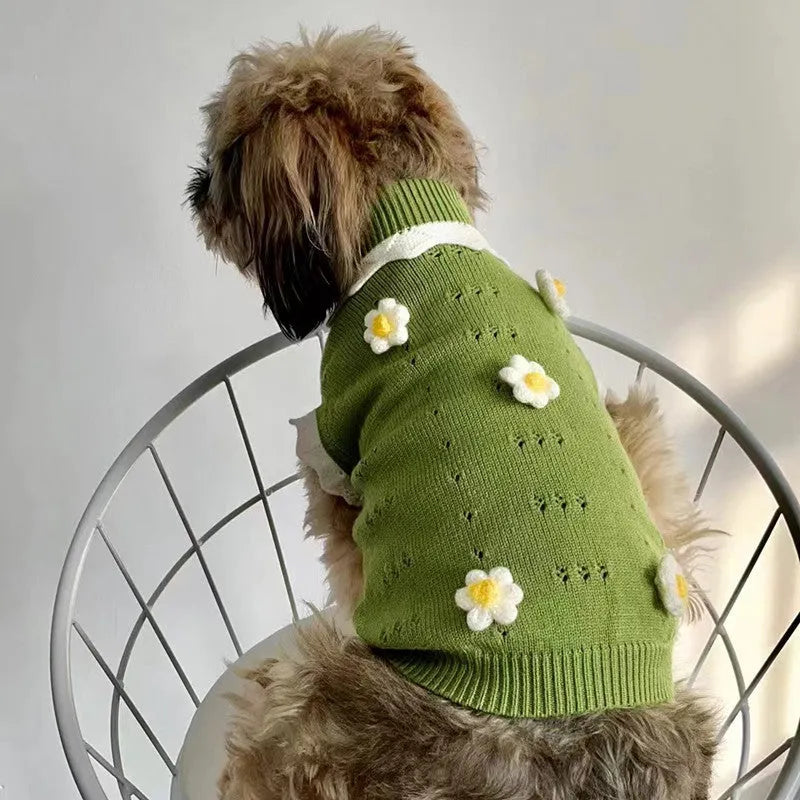 Green knitted sleeveless dog sweater vest with flower pattern on a small dog.