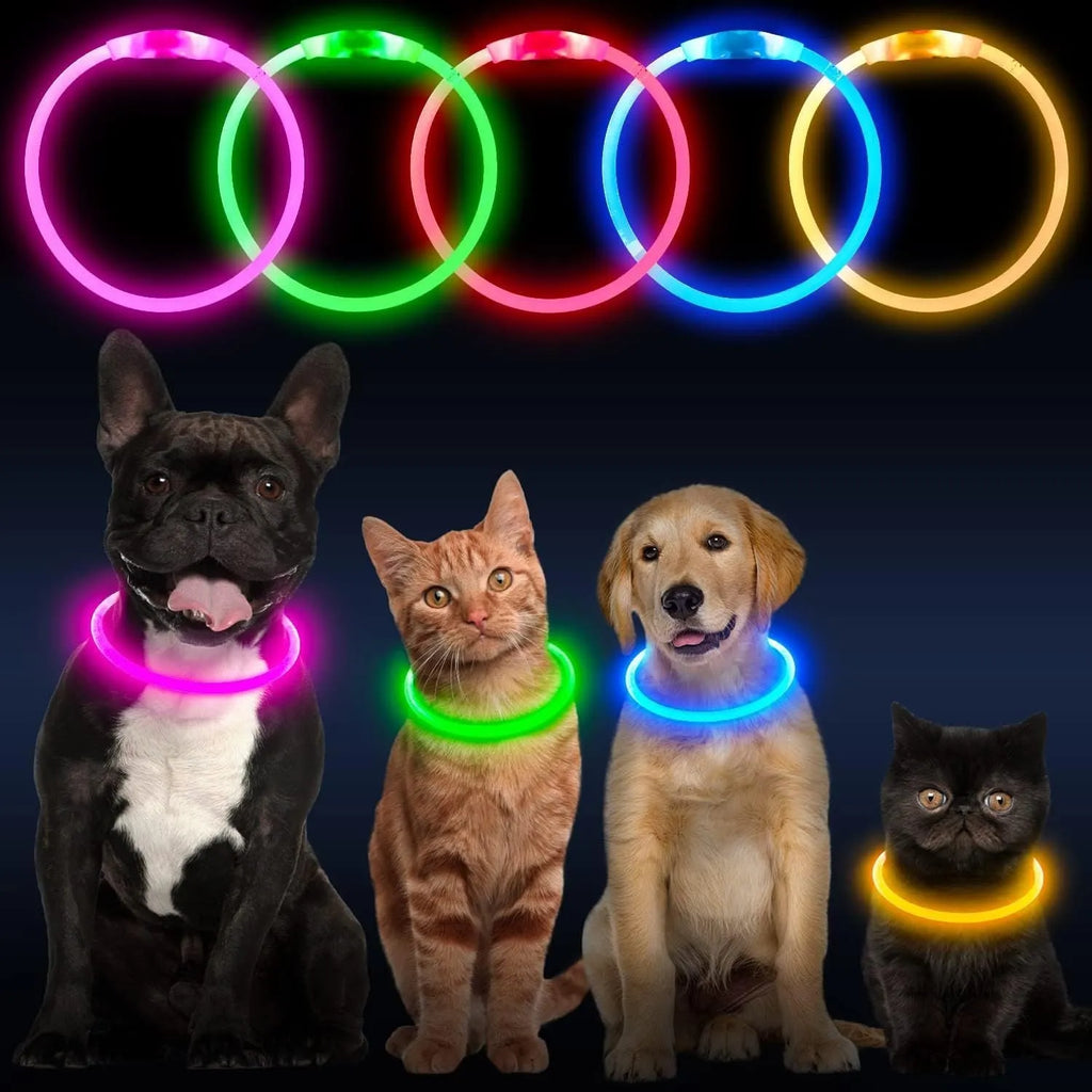 USB rechargeable LED dog collar showing blue illuminated light and adjustable 70cm TPU strap