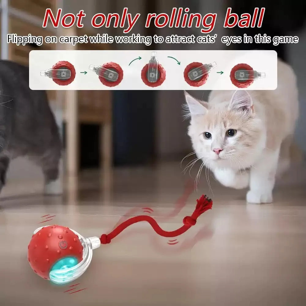 Red cat rolling ball toy with jingle bell for interactive indoor play with cats and kittens