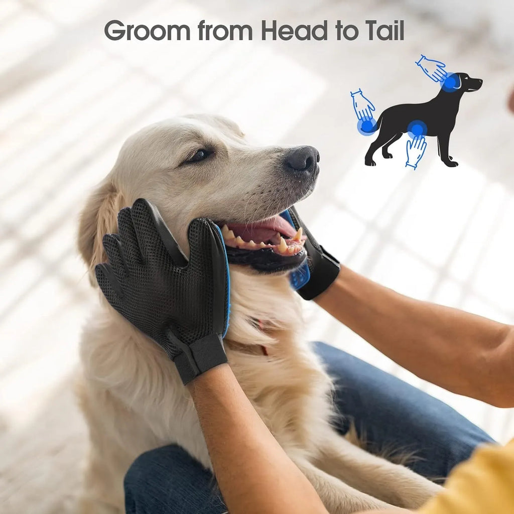 Blue pet grooming gloves with silicone tips for dog and cat hair removal
