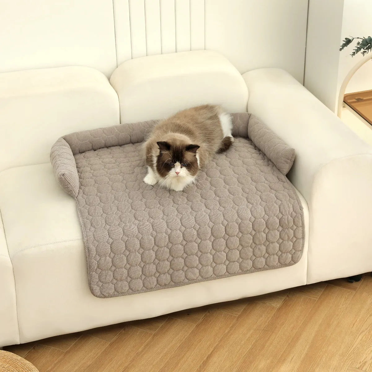 Thick corduroy pet bed mat with neck pillow in beige, 75x75cm, on a floor