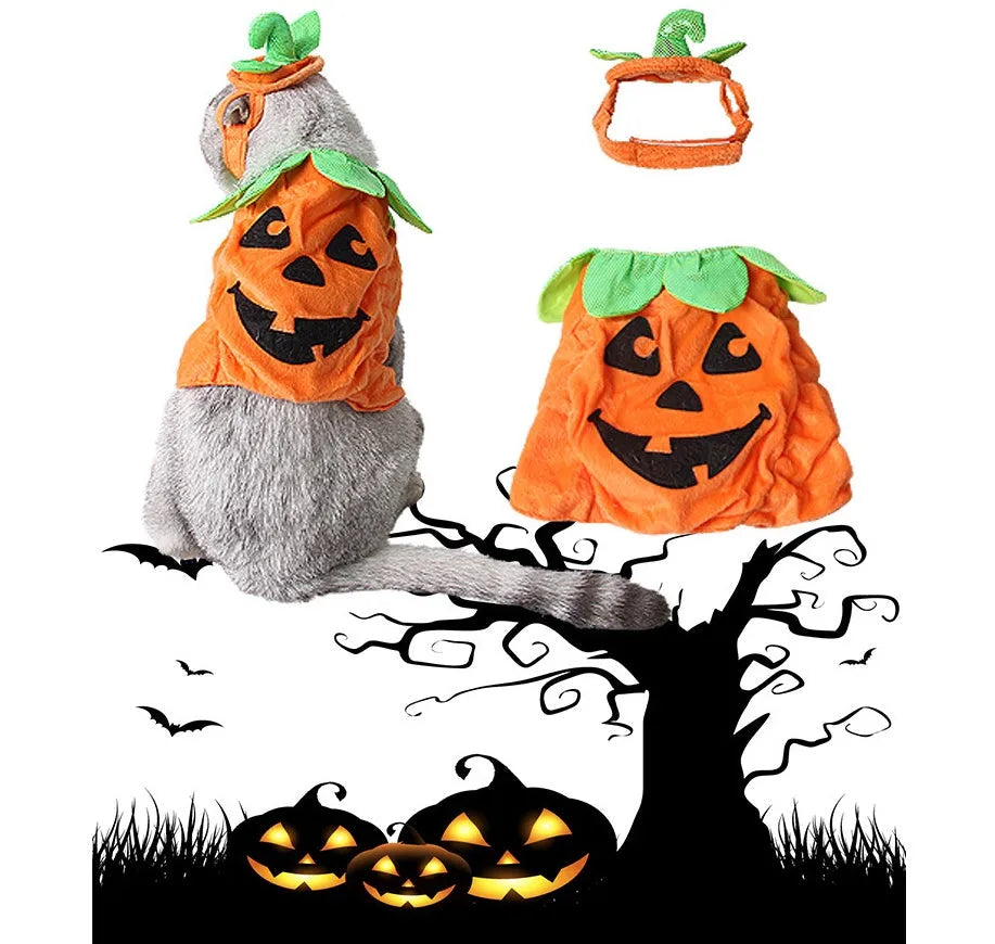 Yellow pumpkin Halloween pet costume with green leaf decoration on a cat wearing the hat and dress