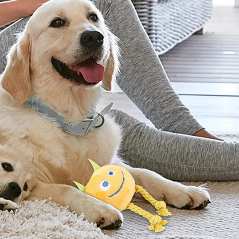 Blue and yellow cartoon animal dog squeaky toys with rope knot construction
