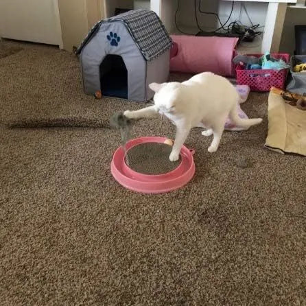 Circular cat scratcher toy with replaceable centre pad and ball track channel