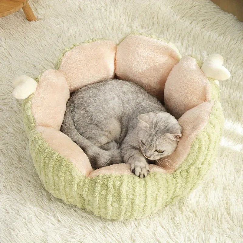 Cactus-themed cat kennel with removable cushion in purple or green, showing large and small size options