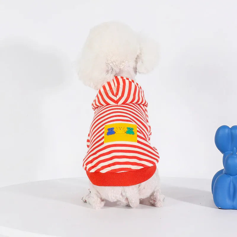 Orange cotton hooded sweater on a dog, showing the front and hood design.