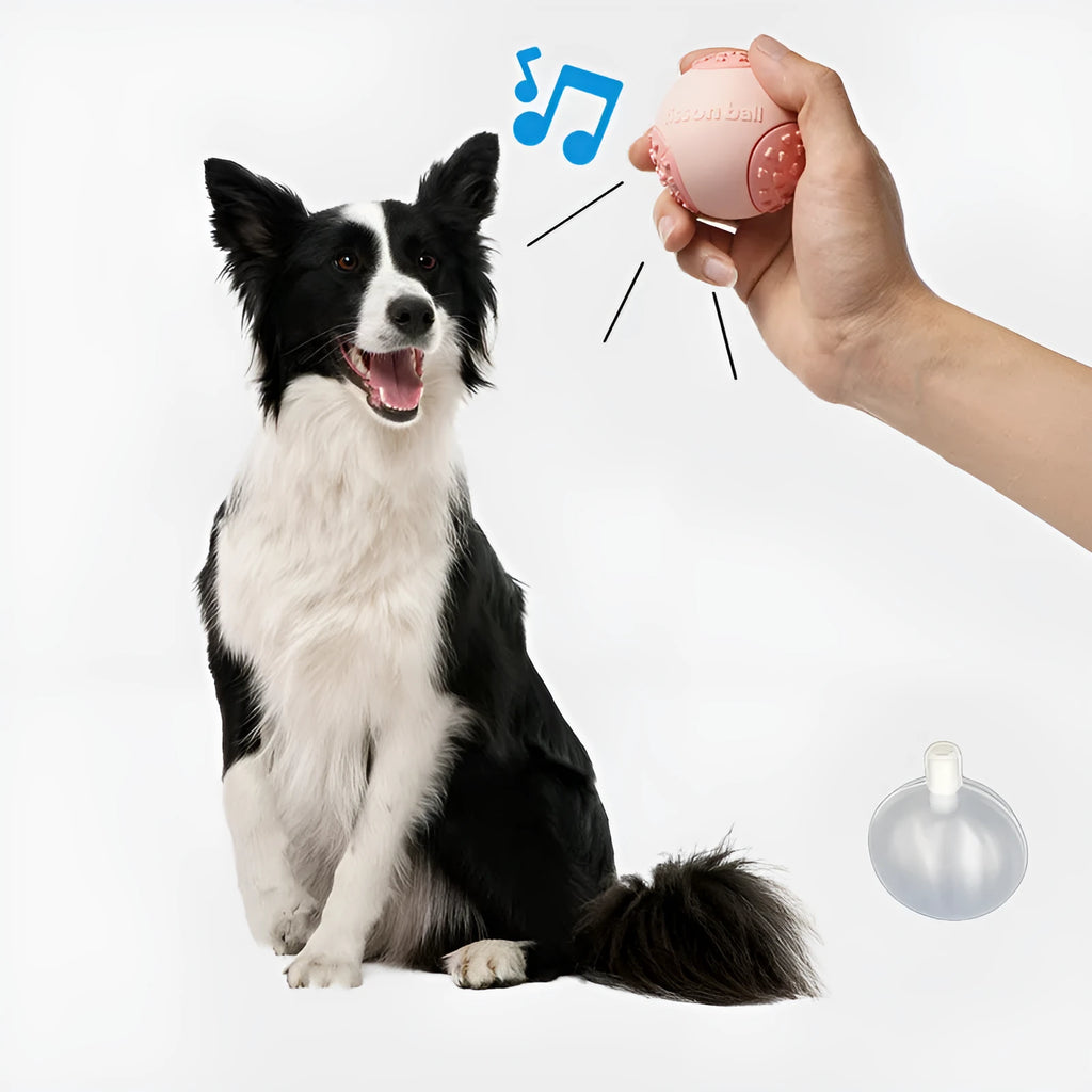 Green or pink rolling ball dog toy with 64mm diameter for small medium dogs