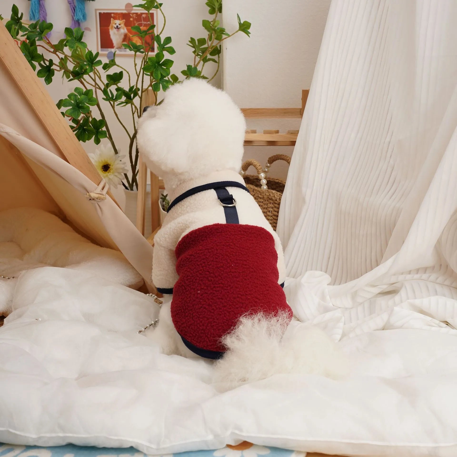 Pet lambswool fleece sweatshirt in caramel, wine red, or dark green for autumn winter wear