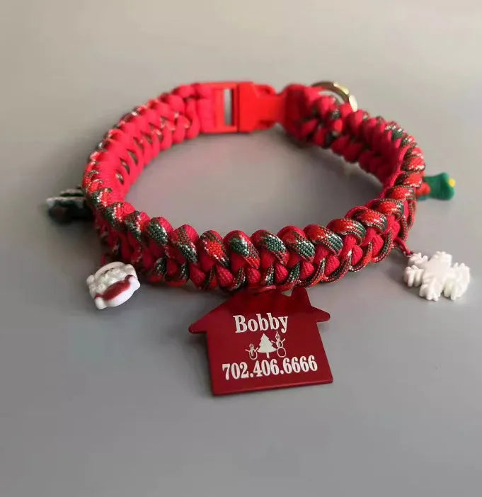 Green hand holding rope dog leash with P chain attachment and zinc alloy release buckle