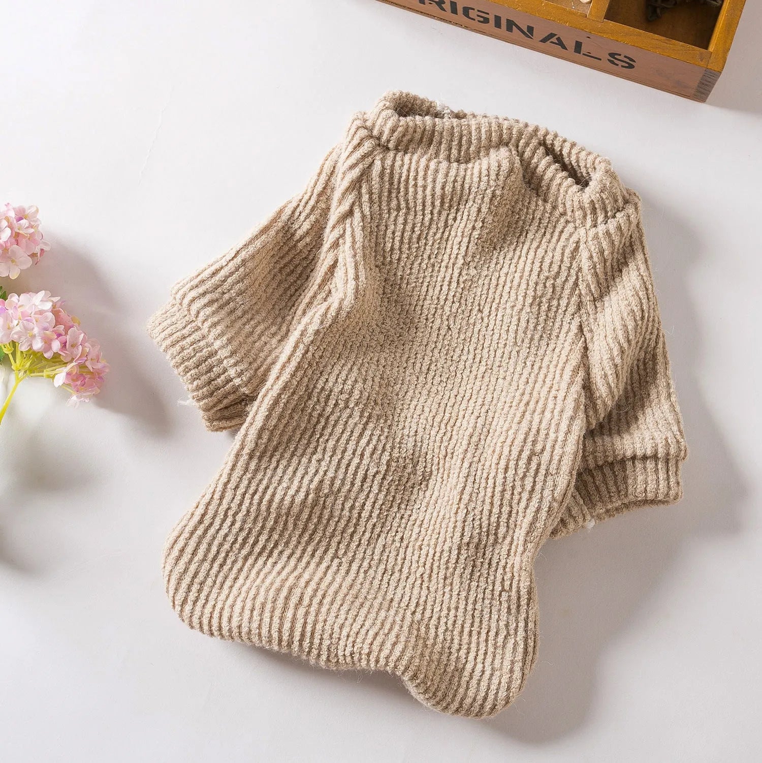 Brown knitted cloth pullover sweater on a small dog, showing casual style.
