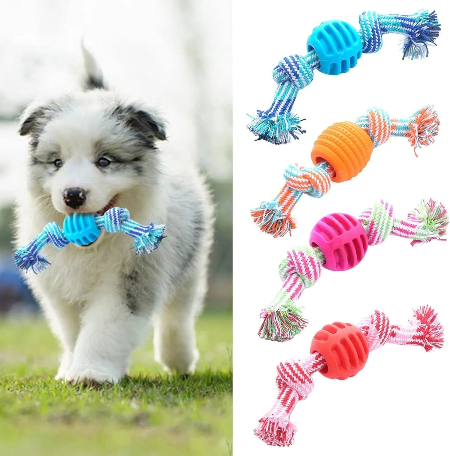 Set of colourful blue, green, orange, pink, and red dog chew toys with rope textures for dental health.