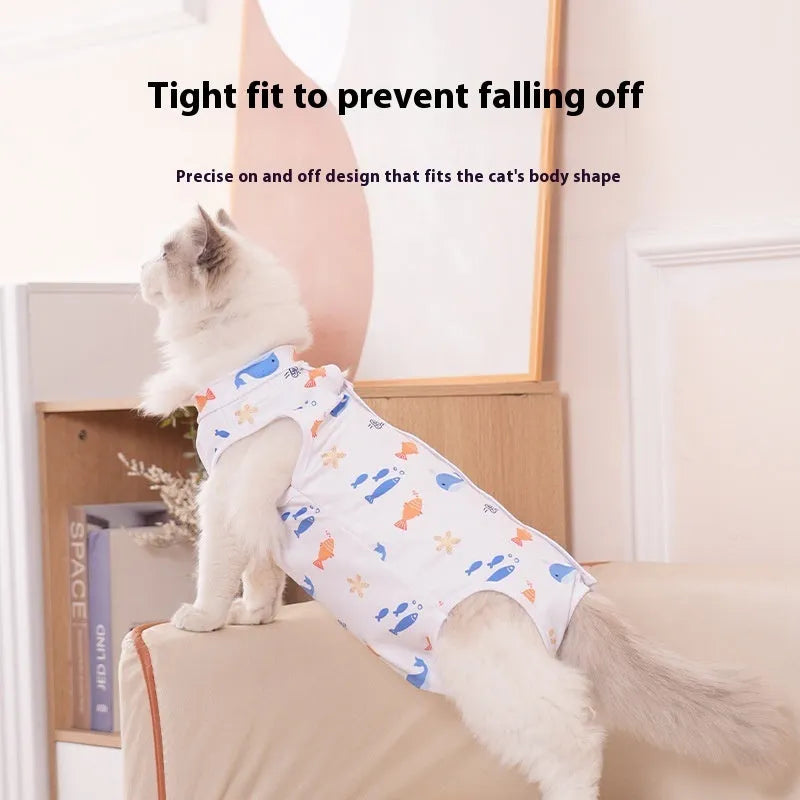 Cat wearing a blue printed polyester recovery suit with Velcro fastenings after sterilisation surgery.
