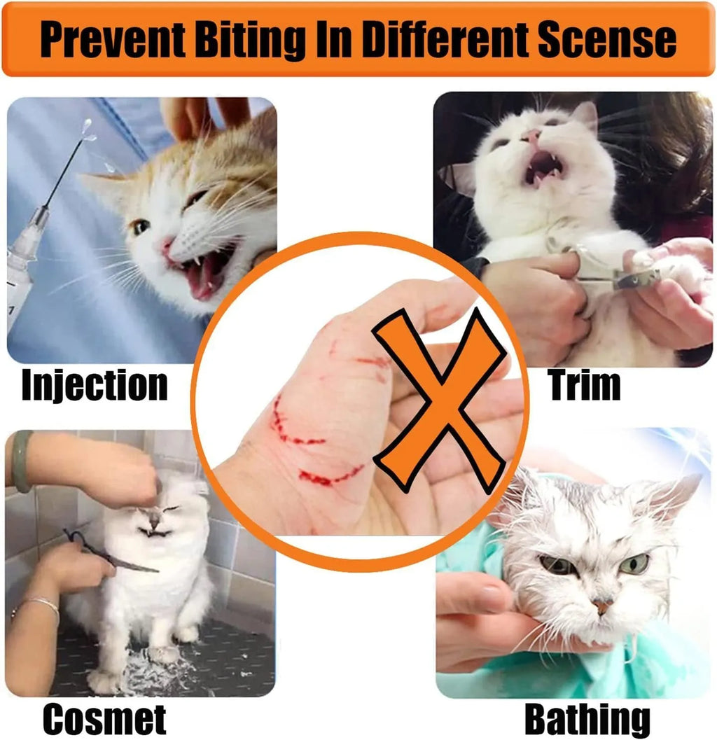 Clear PVC cat muzzle with cotton lining shown in S and M sizes for grooming and training