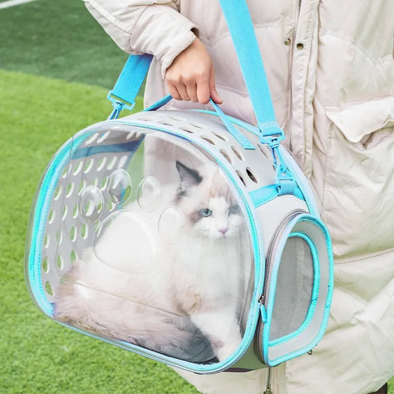 Transparent hard-shell space capsule backpack for a cat, shown in a choice of colours.