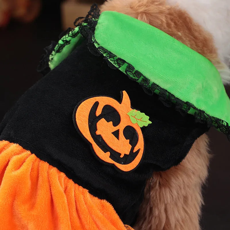 Halloween pumpkin skirt and sweater pet costumes in crystal velvet for small dogs and cats