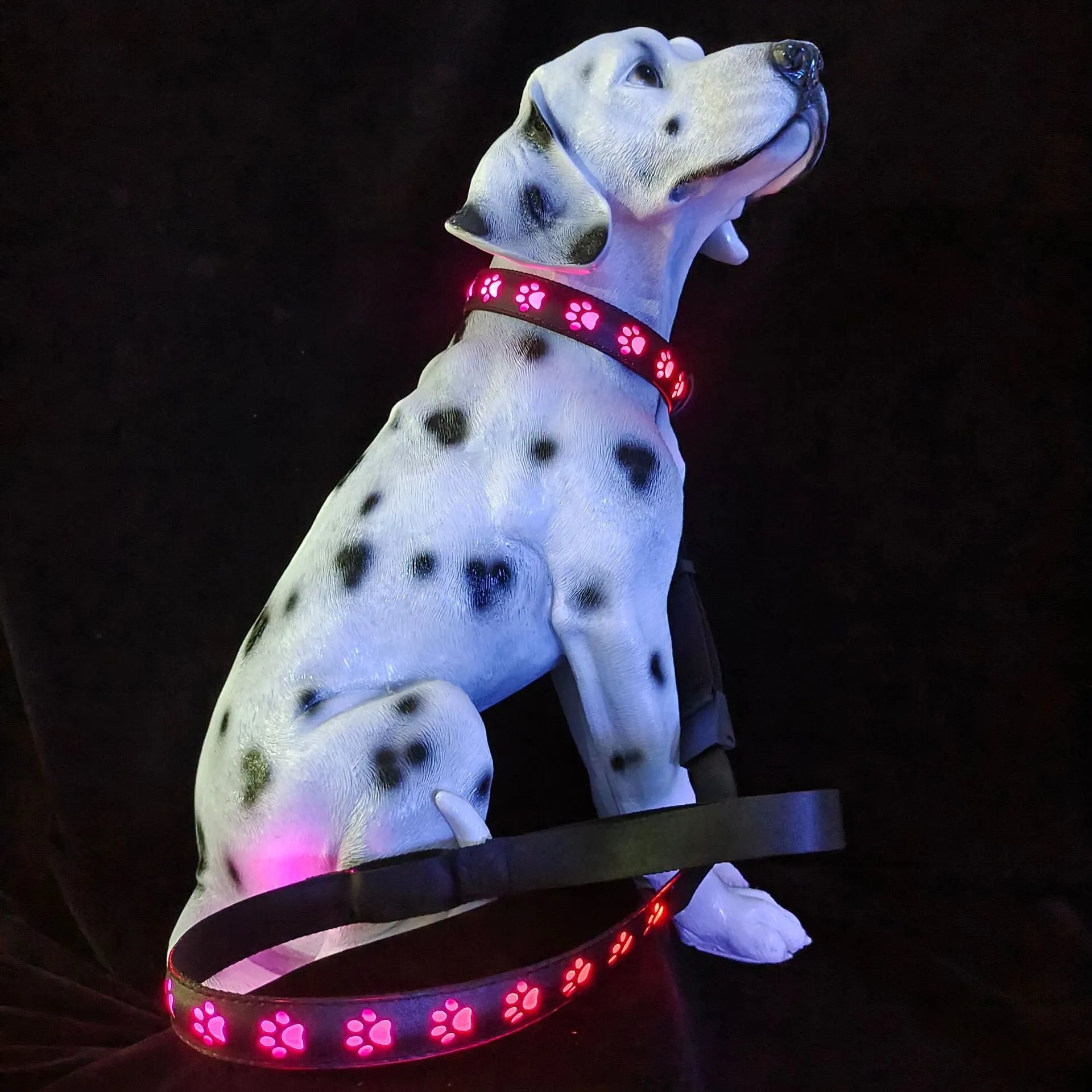 A paw print patterned cat collar with multi-colour LED lights, showing S, M, L size options.