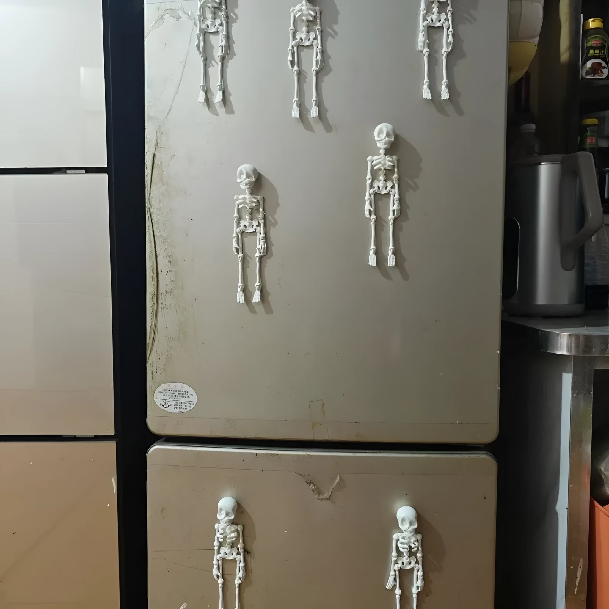 A detailed 3D printed white skull refrigerator magnet, 18cm tall, against a dark background.