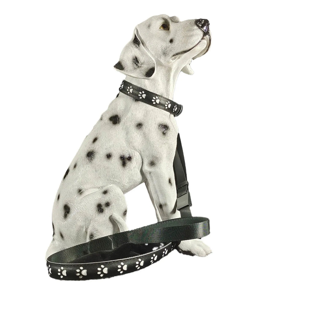 A paw print patterned cat collar with multi-colour LED lights, showing S, M, L size options.