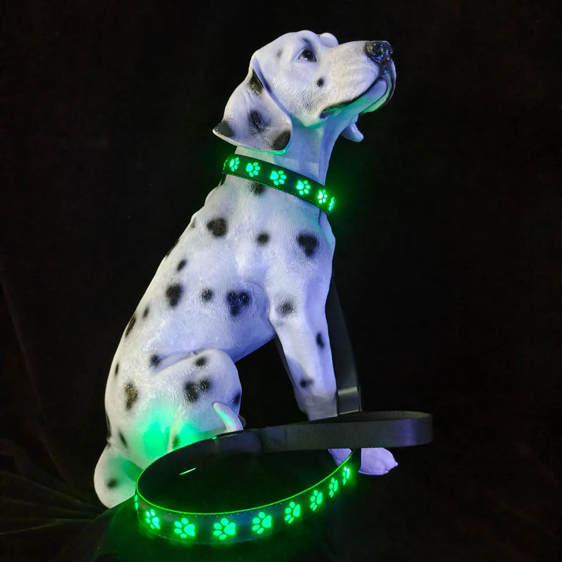 A paw print patterned cat collar with multi-colour LED lights, showing S, M, L size options.