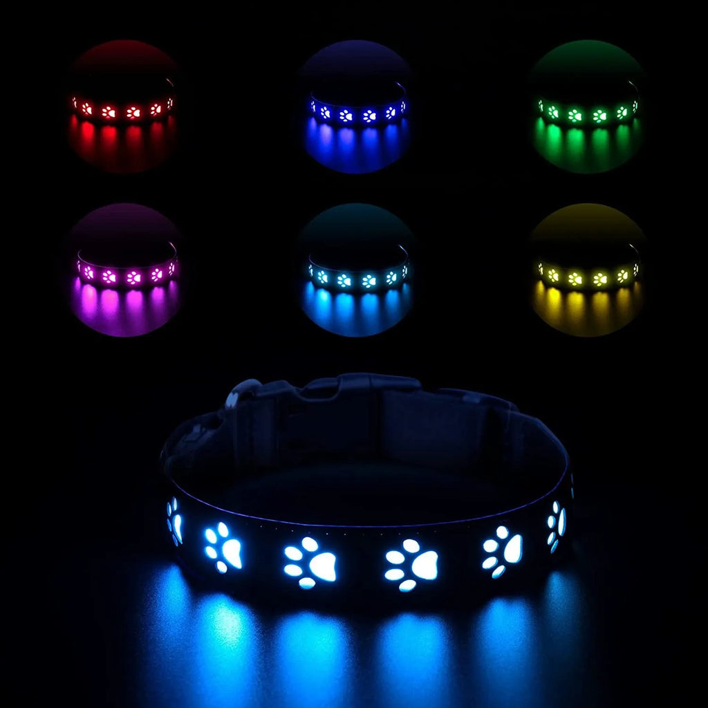 A paw print patterned cat collar with multi-colour LED lights, showing S, M, L size options.