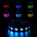 A paw print patterned cat collar with multi-colour LED lights, showing S, M, L size options.