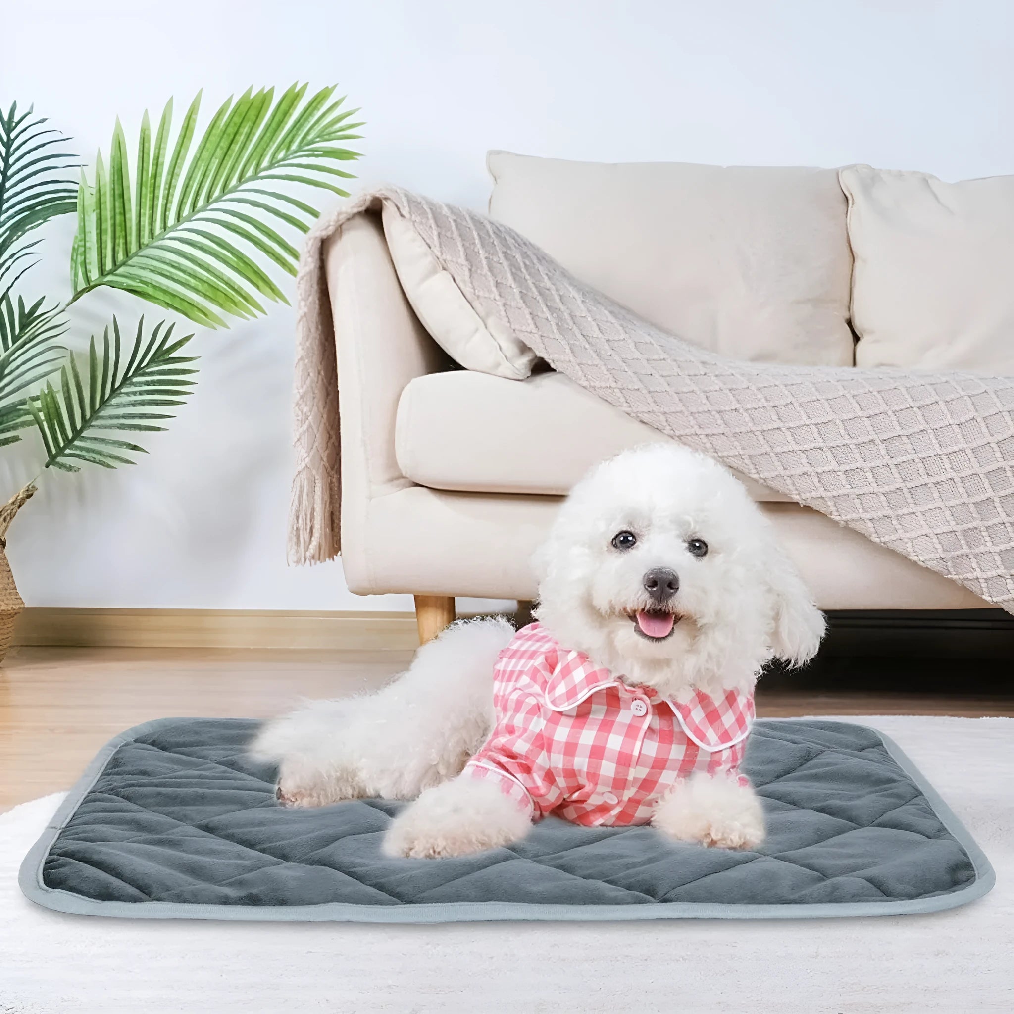 Grey multi-layer pet cushion showing soft cloth fabric and available in four different sizes