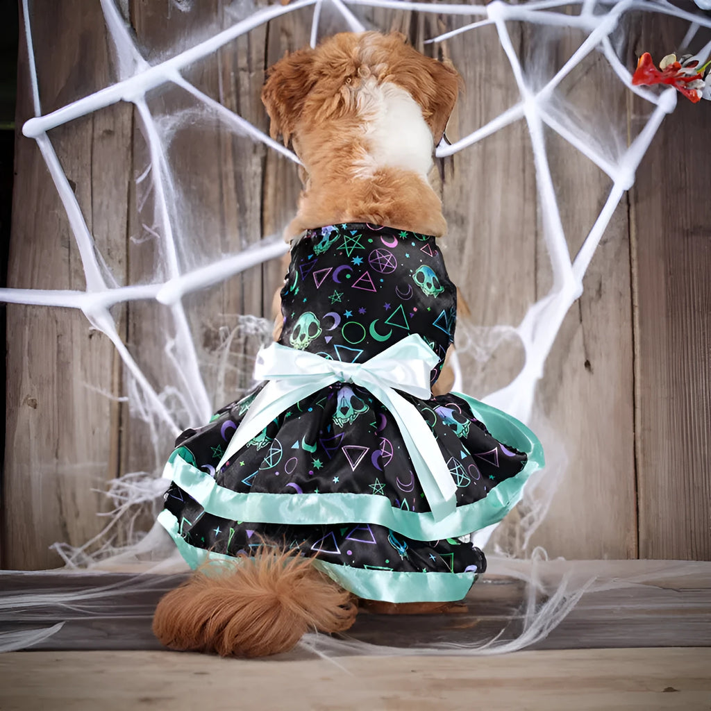 Colourful double-layer Halloween skirt for dogs in pumpkin or skull print.