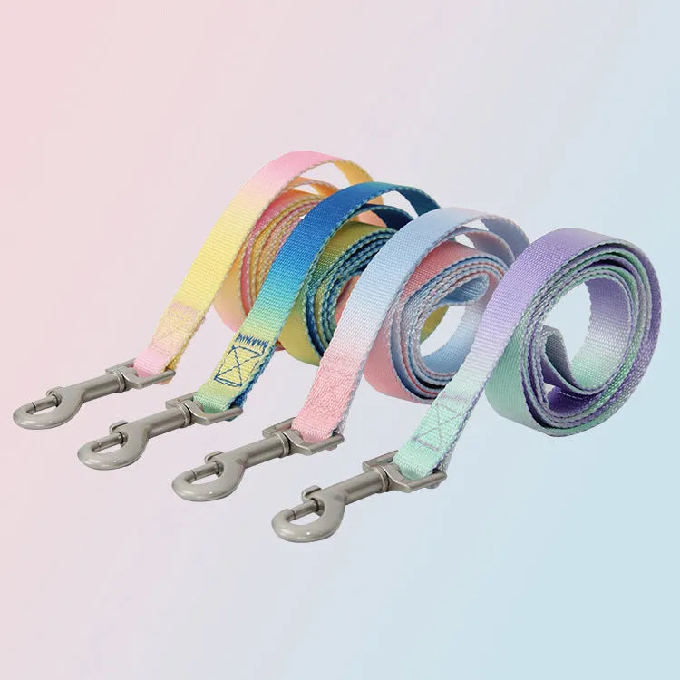 Nylon dog leash set showing gradient colour options including pink blue yellow purple green patterns