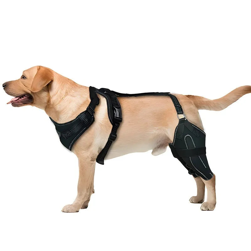 Black dog thigh protective sleeve with adjustable metal support frame for postoperative recovery
