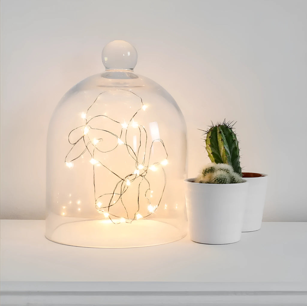 Bendable copper wire LED light string with plastic battery box, showing warm white and white light colour options.