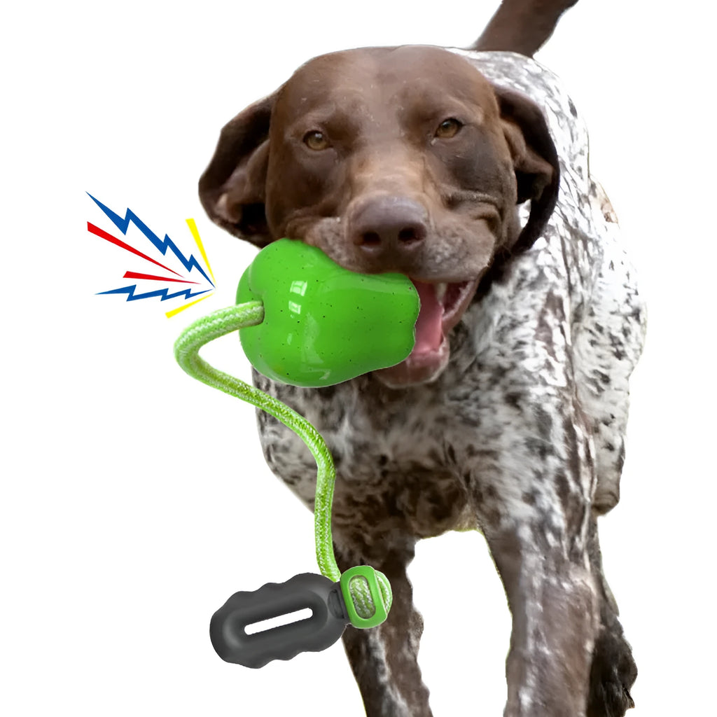 Green apple-shaped plastic dog toy with food-dispensing hole and textured chewable surface