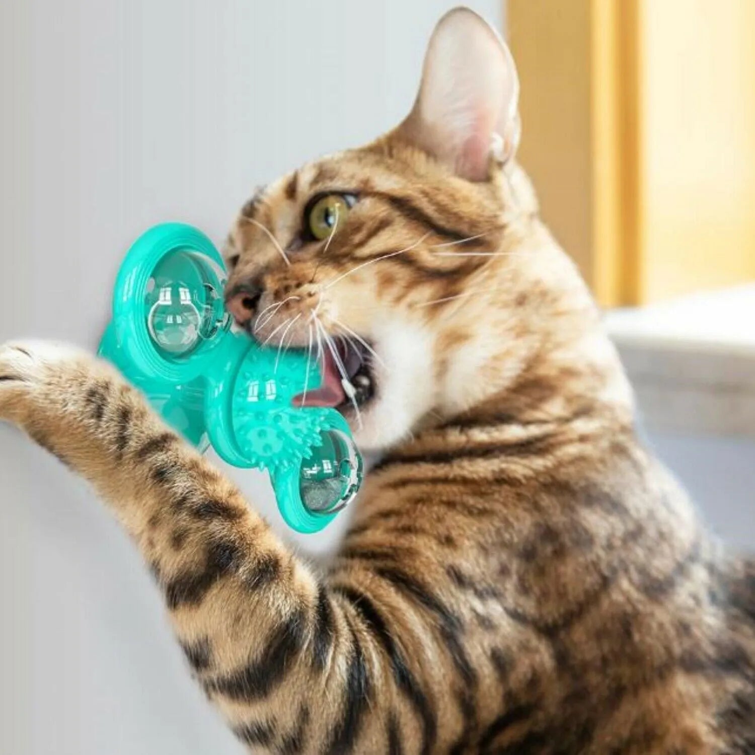 Rotating windmill cat toy with LED light and catnip balls on a white wall