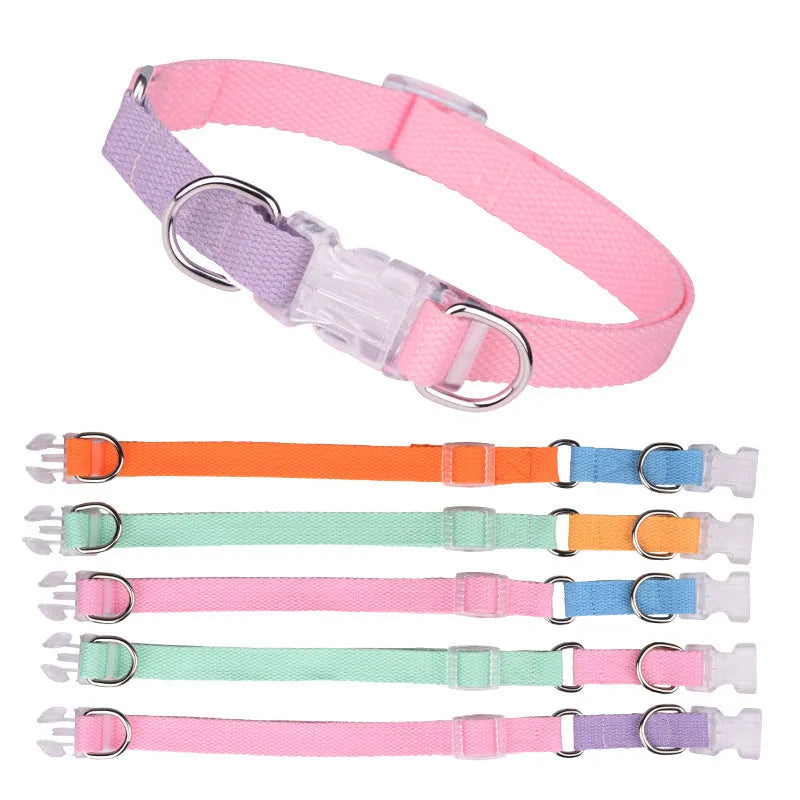 Polyester ribbon dog collar, lead, and chest strap set in a green and pink colour combination.