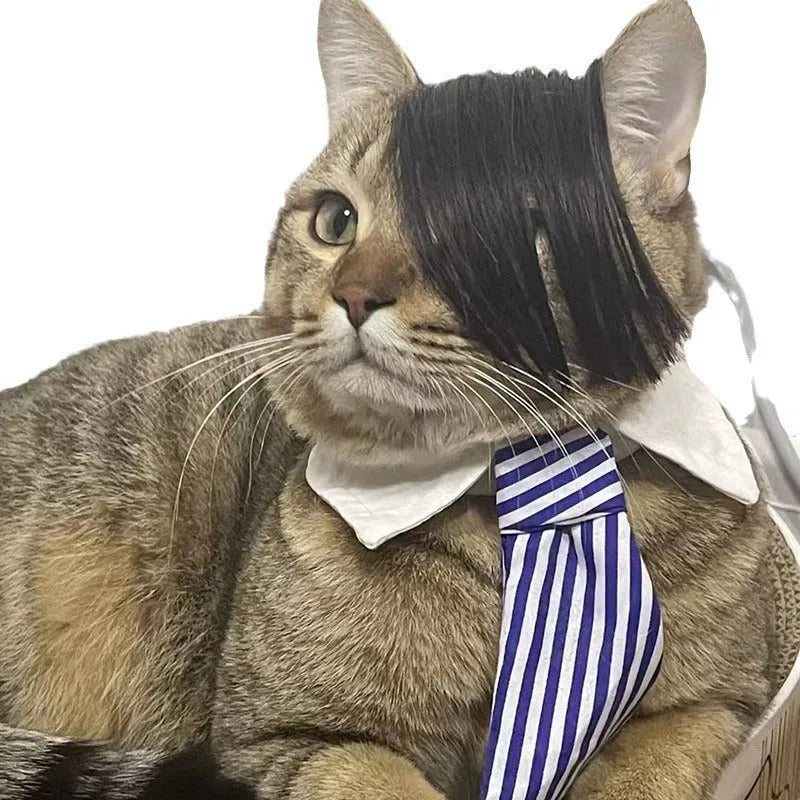 Black polyester fox-style wig for cats on a white background.