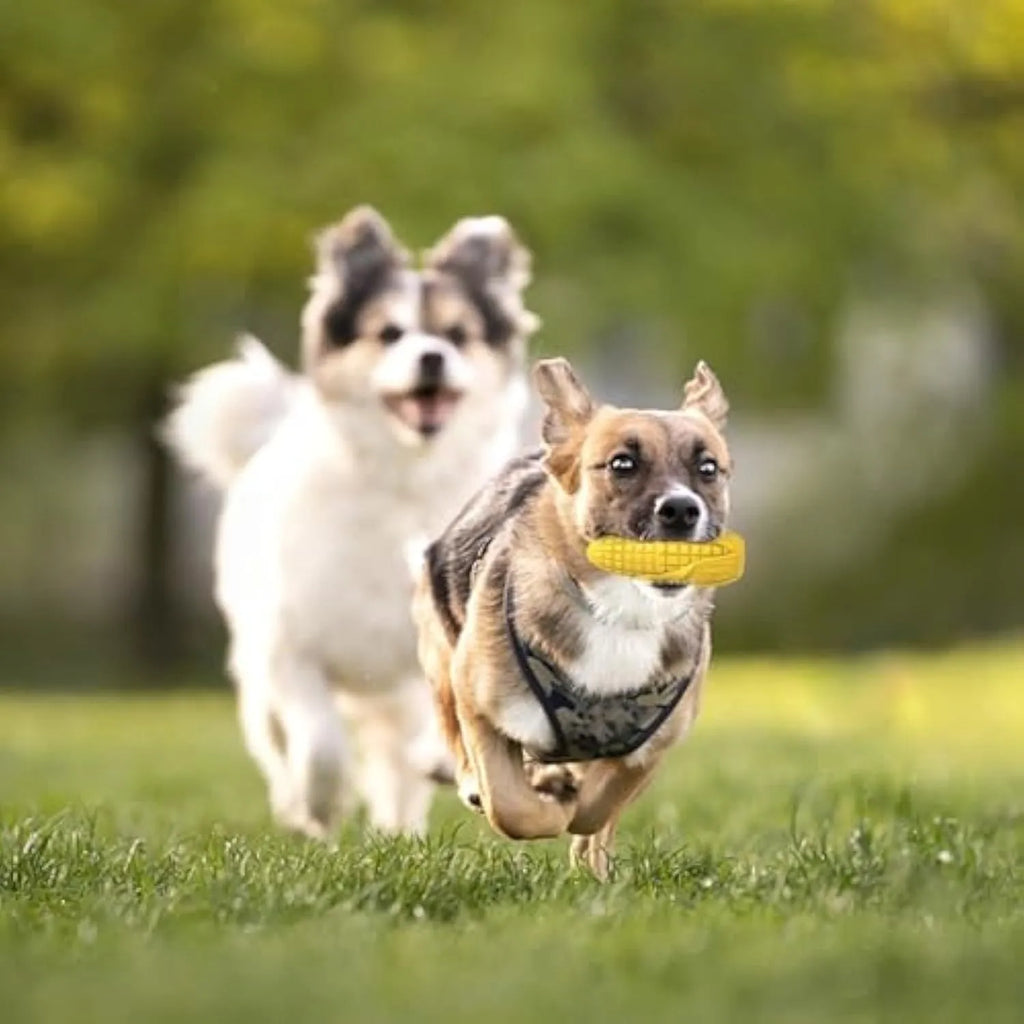 Corn stick shaped dog chew toy in blue or yellow colour with textured surface grooves